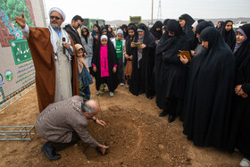 پویش کاشت نهال با عنوان "در سایه مادر"