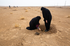 پویش کاشت نهال با عنوان "در سایه مادر"