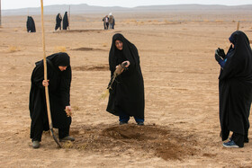 پویش کاشت نهال با عنوان "در سایه مادر"