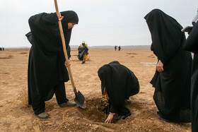 پویش کاشت نهال با عنوان "در سایه مادر"