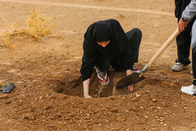 پویش کاشت نهال با عنوان "در سایه مادر"