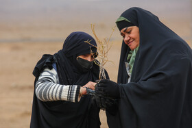 پویش کاشت نهال با عنوان "در سایه مادر"