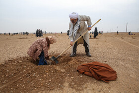 پویش کاشت نهال با عنوان "در سایه مادر"