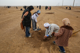 پویش کاشت نهال با عنوان "در سایه مادر"
