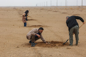 پویش کاشت نهال با عنوان "در سایه مادر"