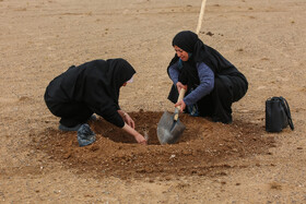 پویش کاشت نهال با عنوان "در سایه مادر"