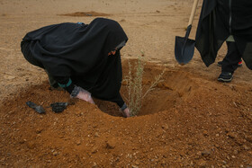 پویش کاشت نهال با عنوان "در سایه مادر"