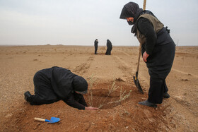 پویش کاشت نهال با عنوان "در سایه مادر"