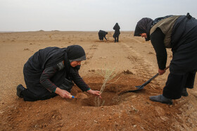 پویش کاشت نهال با عنوان "در سایه مادر"