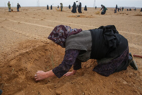 پویش کاشت نهال با عنوان "در سایه مادر"