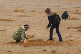 پویش کاشت نهال با عنوان "در سایه مادر"