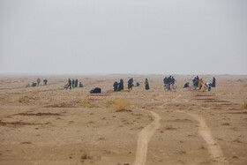 پویش کاشت نهال با عنوان "در سایه مادر"