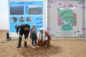 پویش کاشت نهال با عنوان "در سایه مادر"