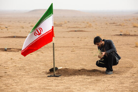 پویش کاشت نهال با عنوان "در سایه مادر"