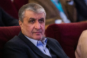 محمد اسلامی، رئیس سازمان انرژی اتمی در دومین کنگره پلاسما پزشکی ایران