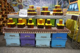 جشنواری با طعم عسل