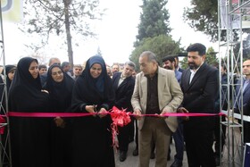 جشنواری با طعم عسل