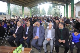 جشنواری با طعم عسل