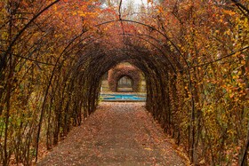 باران پاییزی ـ اصفهان
