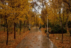 باران پاییزی ـ اصفهان
