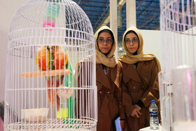 سومین روز نمایشگاه پژوهش و فناوری - مشهد