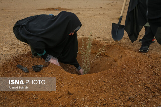 منابع اعتباری، بزرگترین چالش طرح کاشت یک میلیارد درخت