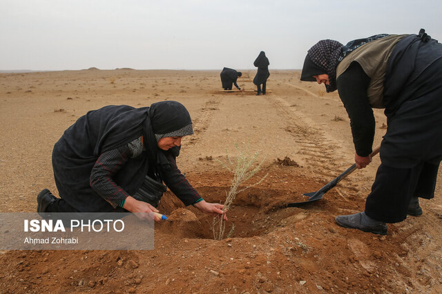 نتایج مطالعات جامع گردوغبارهای مناطق سرخس و خواف را در اختیار دستگاه‌های اجرایی قرار دادیم