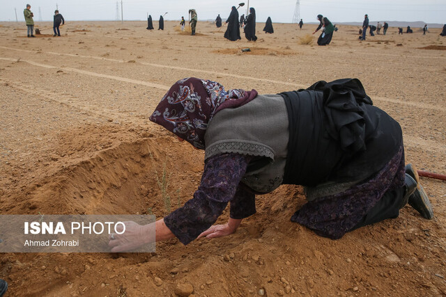 پویش کاشت نهال با عنوان "در سایه مادر"