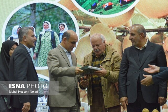 جشنواره شکرانه برداشت کیوی در تالش؛ نمایش توان تولید و صادرات کشاورزی گیلان