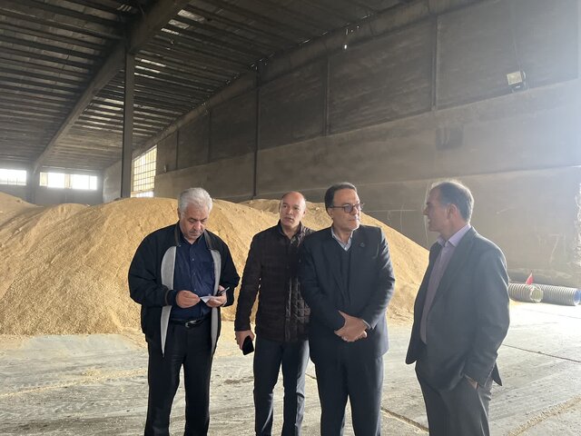 گشایش ارزی ۱.۷ میلیون دلاری برای نهاده‌های دامی/آغاز ورود نهاده‌ها به استان مرکزی