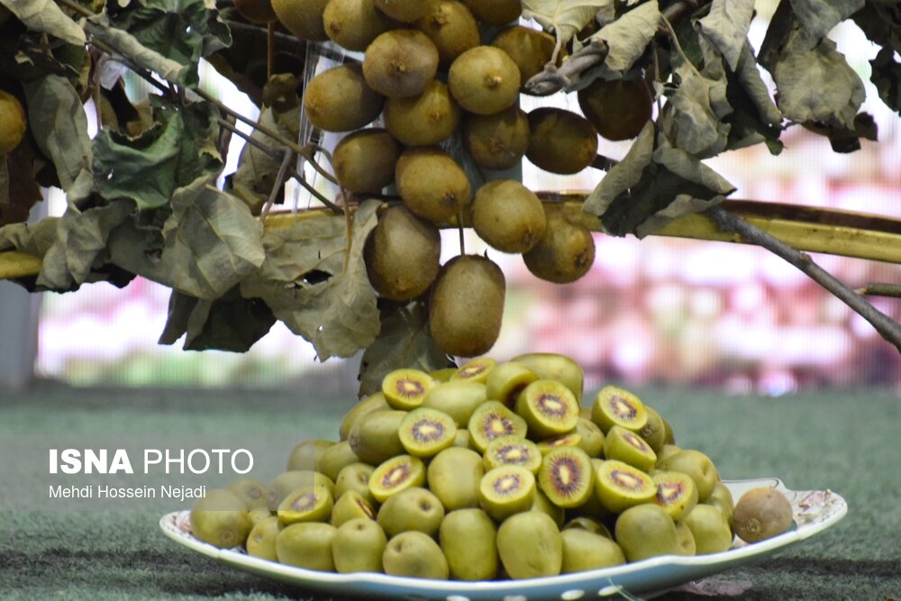 با مصرف «کیوی» خواب آرام‌تری داشته باشید