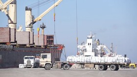 حمایت دولت برای تسهیل واردات کالای اساسی از مسیر دریایی