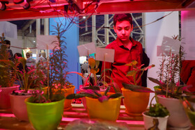 چهارمین روز نمایشگاه پژوهش و فناوری - مشهد