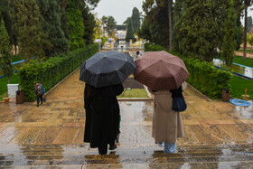 بارش باران پاییزی - شیراز
