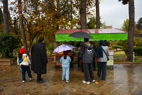 بارش باران پاییزی - شیراز
