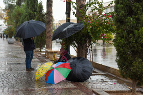 بارش باران پاییزی - شیراز
