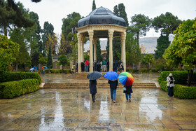 بارش باران پاییزی - شیراز
