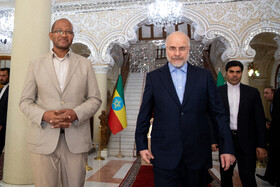 دیدار تاگسه چافو، رئیس مجلس نمایندگان اتیوپی با محمد باقر قالیباف، رییس مجلس شورای اسلامی