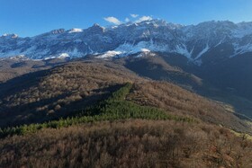 سفید پوش شدن کوهها و پرآب شدن سد در سوادکوه