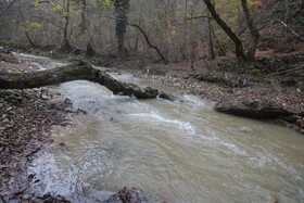 سفید پوش شدن کوهها و پرآب شدن سد در سوادکوه