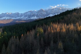 سفید پوش شدن کوهها و پرآب شدن سد در سوادکوه