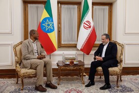 اعلام آمادگی ایران برای گسترش همکاری با اتیوپی در مجامع منطقه‌ای و بین‌المللی