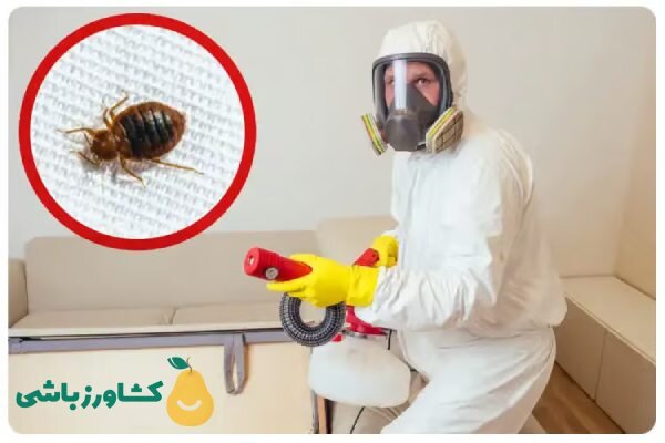 شرکت سمپاشی ساس کشاورزباشی یکی از رتبه‌های برتر در سمپاشی ساس (بدون تخلیه منزل-بدون بو)