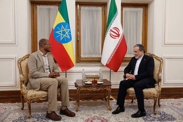 رایزنی رئیس مجلس نمایندگان اتیوپی با عراقچی اعلام آمادگی ایران برای گسترش همکاری با اتیوپی در مجامع منطقهای و بینالمللی