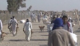 نگرانی درباره مدیریت کالاهای مرتبط با کولبری در سیستان و بلوچستان وجود ندارد