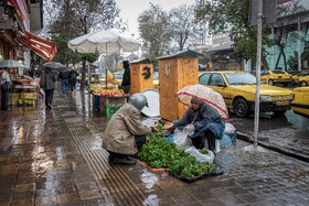 بارش باران پاییزی - رشت