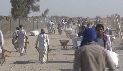 نگرانی درباره مدیریت کالاهای مرتبط با کولبری در سیستان و بلوچستان وجود ندارد