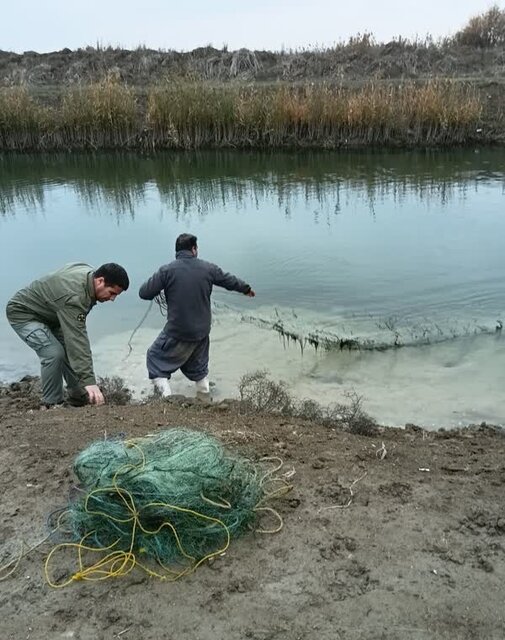 برخورد با ۳ مورد شکار غیرمجاز در مناطق مختلف اردبیل