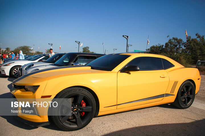 آخرین وضعیت واردات خودرو توسط ایرانیان مقیم خارج از کشور