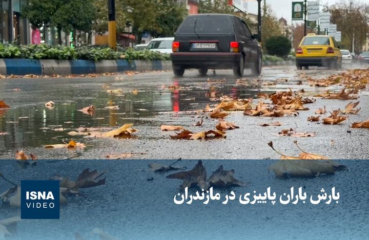 ویدیو/ بارش باران پاییزی در مازندران ویدیو/ بارش باران پاییزی در مازندران